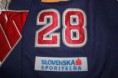 /album/a1/slovan10-11d8-jpg/